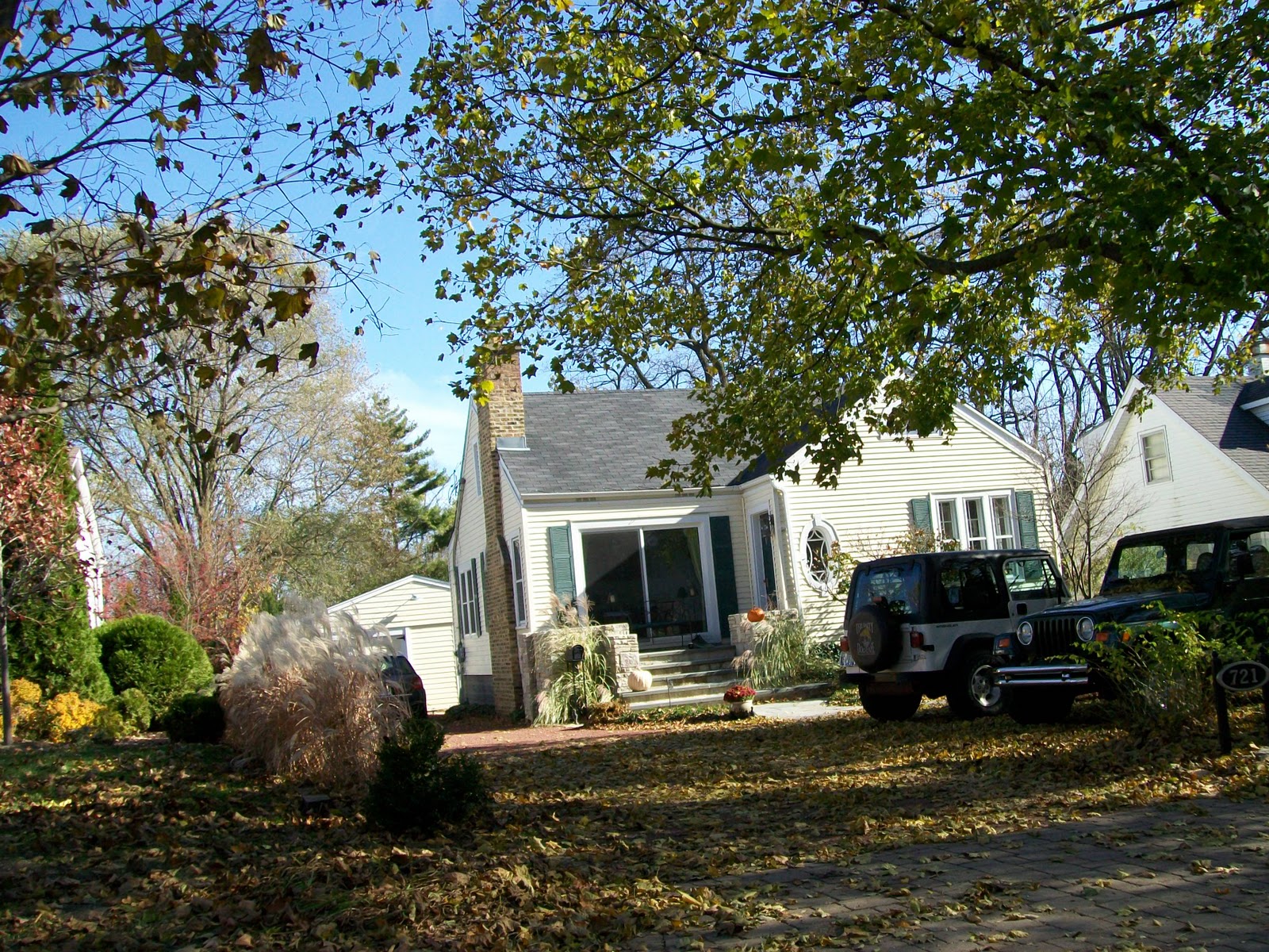 MarkGanzersPhotos Barrington, Illinois SOUTH COOK STREET RIGHT AFTER