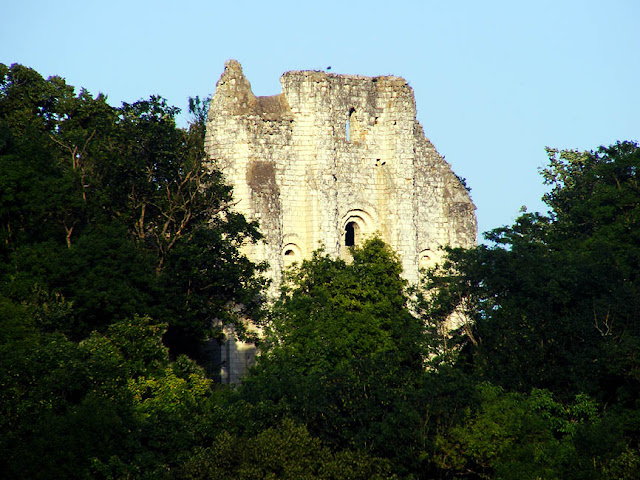 Ruin of the Church of Saint Melaine, Preuilly sur Claise.  Indre et Loire, France. Photographed by Susan Walter. Tour the Loire Valley with a classic car and a private guide.