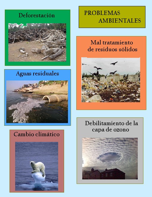 ECOPEDAGOGIA UAN2010 PROBLEMAS AMBIENTALES