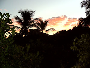 Abenddrot auf der Klippe