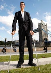 World's Tallest Man