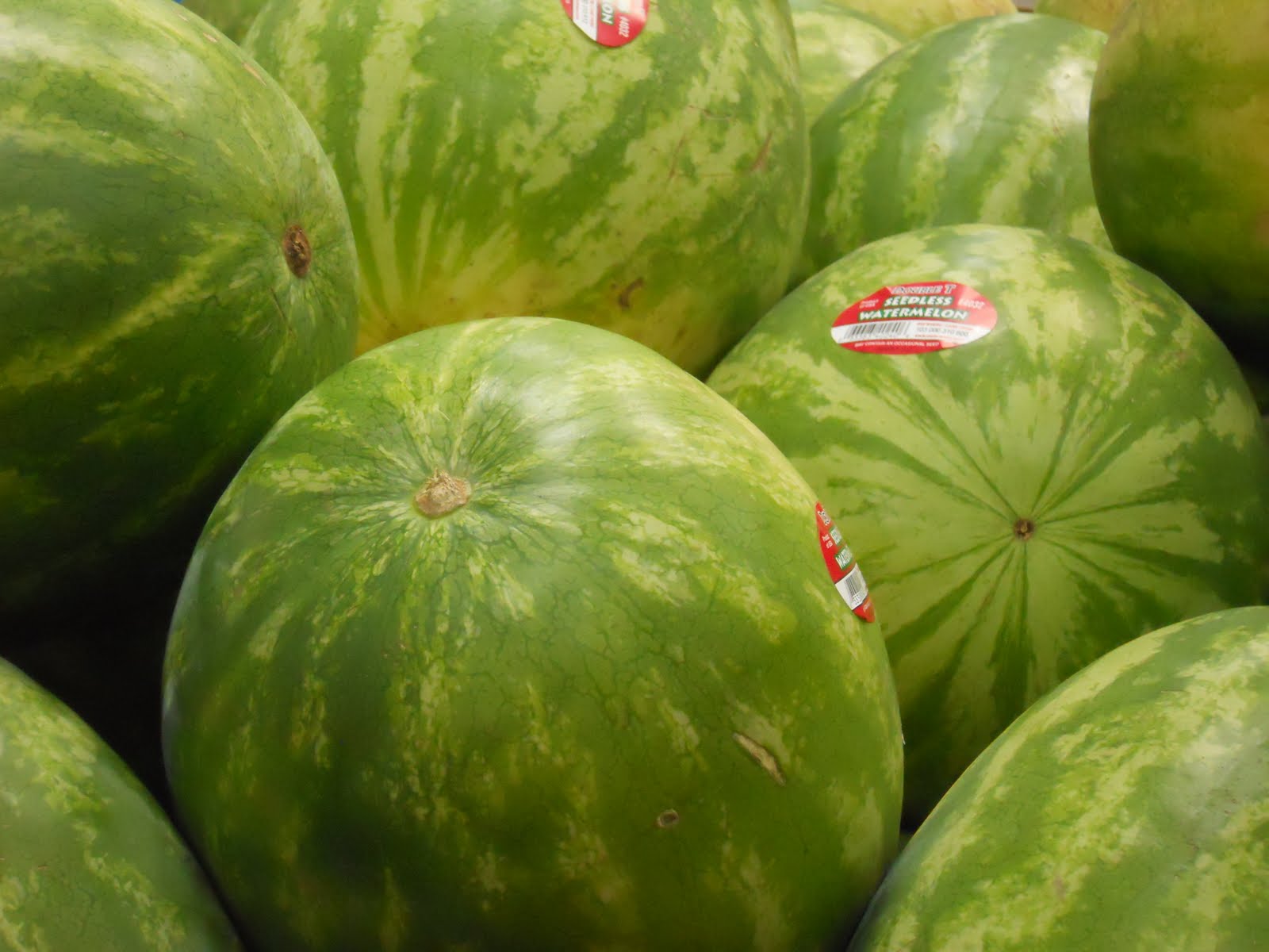 Day's View: Photo #217: Watermelon