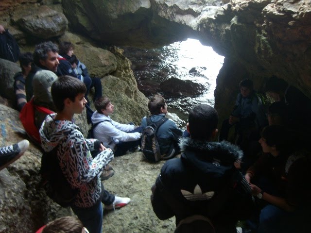 [ALIM3530.JPG]