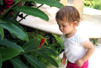 [400_rozflower_mex.jpg]