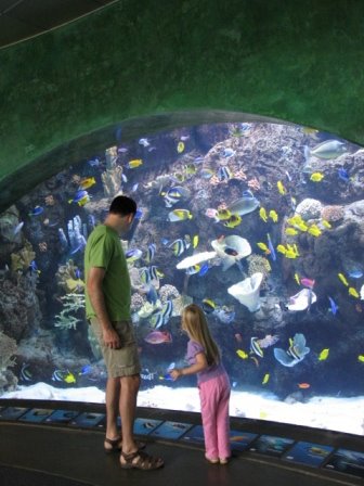 [long_beach_aquarium.jpg]