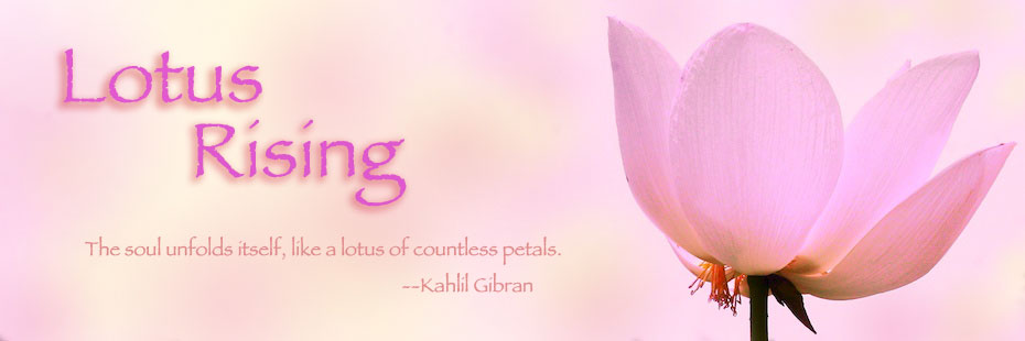 Lotus Rising