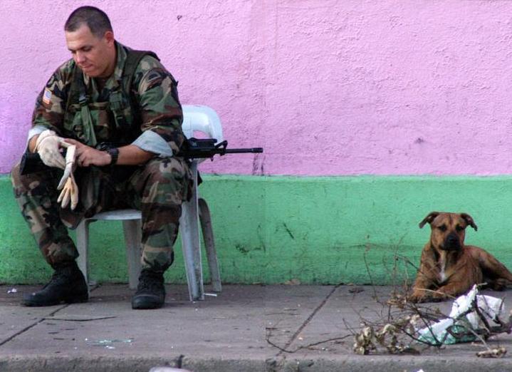 [soldier-and-dog-1.jpg]