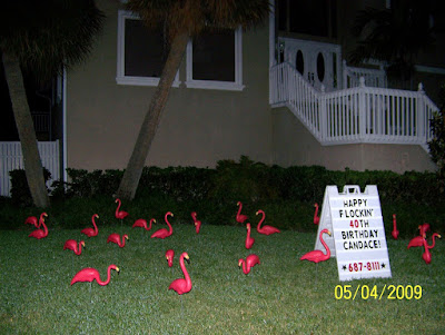 *FLOCK-N-SURPRISE* 727-687-8111 LARGO, Florida www.flocknsurprise.com
