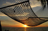 [hammock.jpg]