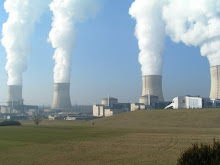 nuclear power plants too risky