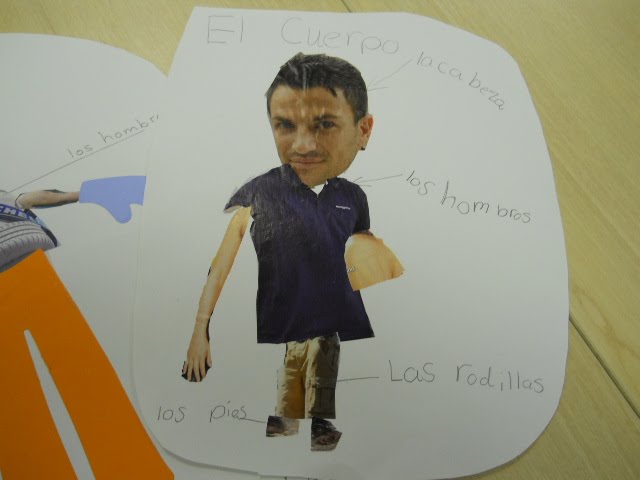 KS1 body parts in Spanish