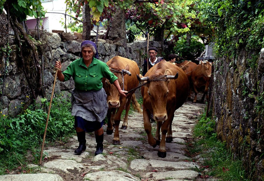 [VILELA.+CAIS-BES+jpg]