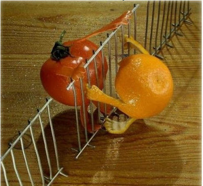 Unusual Orange and Tomato Photo