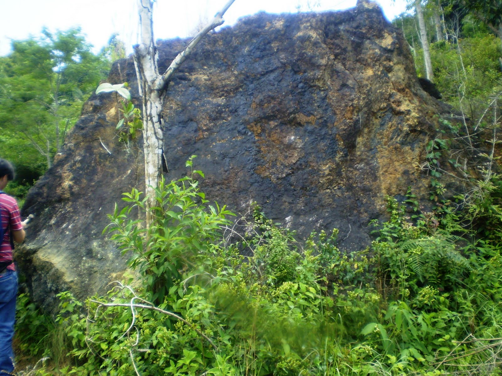 acesse: www.mfmining.com: Jazidas de Manganês do sul da Bahia
