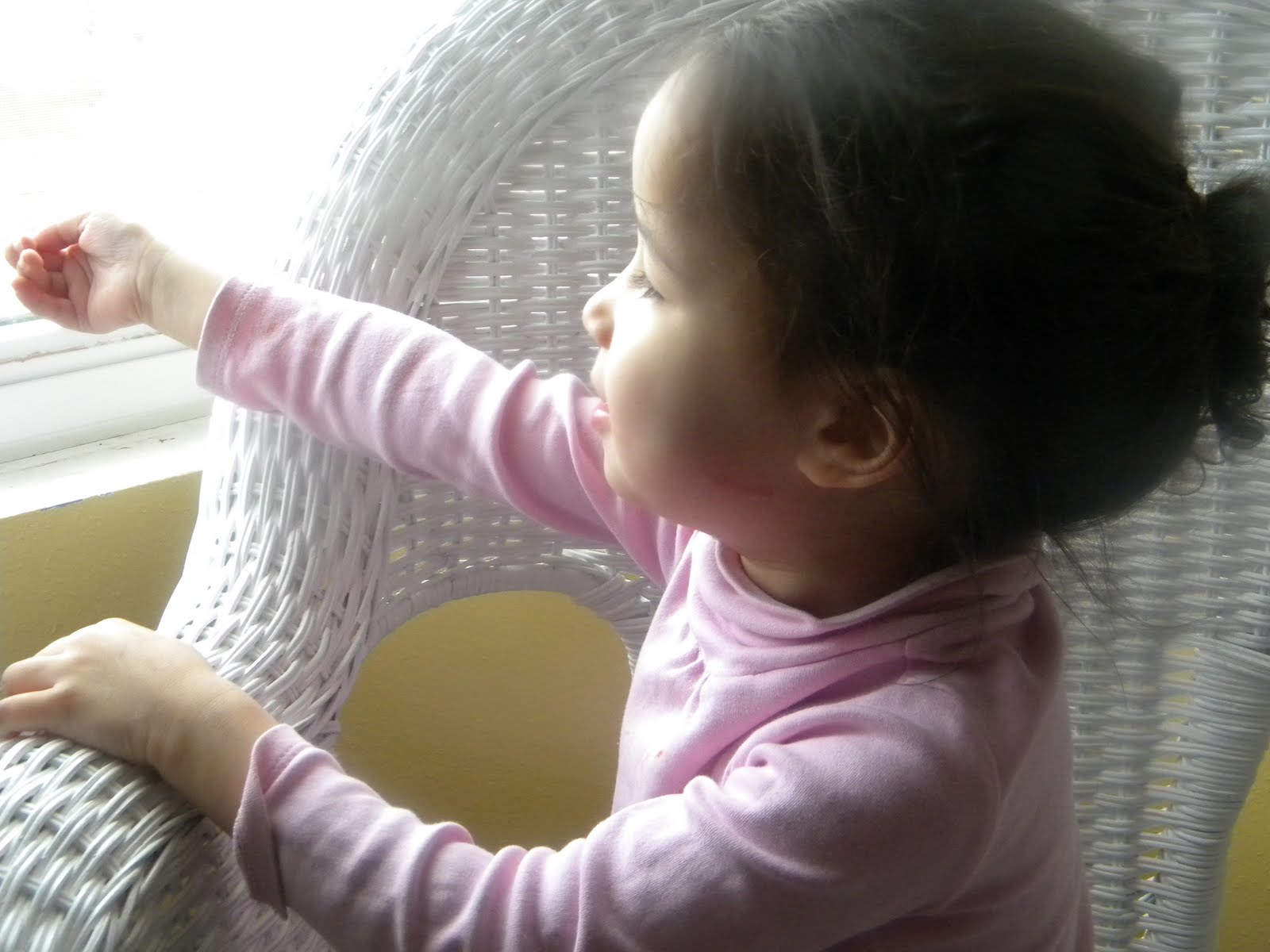 [DSCN3029.JPG]