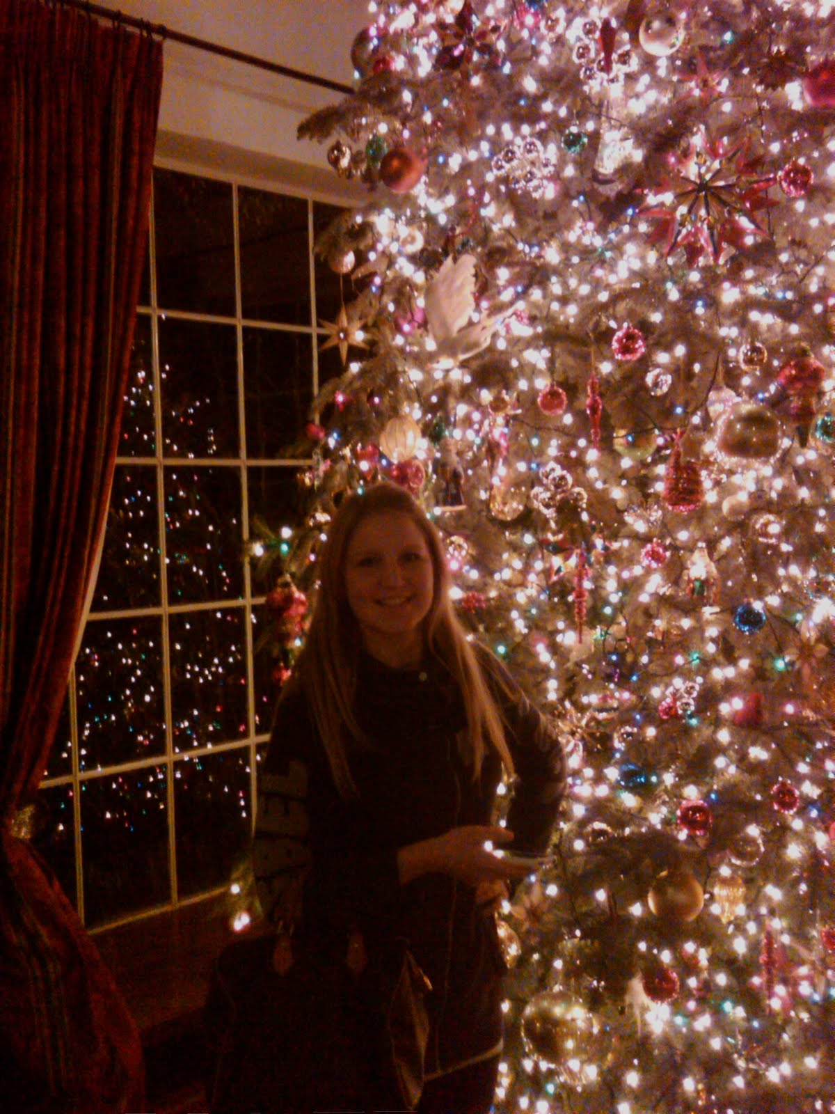 [1.2.+AZ+Inn+Tree+w-MC.jpg]