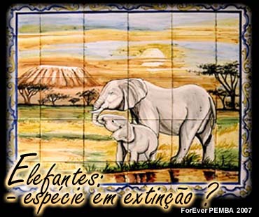 [elefante.jpg]