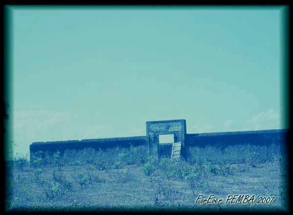 [image001+copy.jpg]
