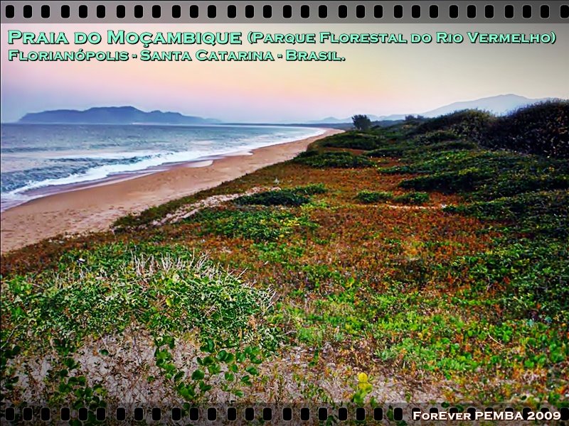 [praiamocambiquebr.jpg]