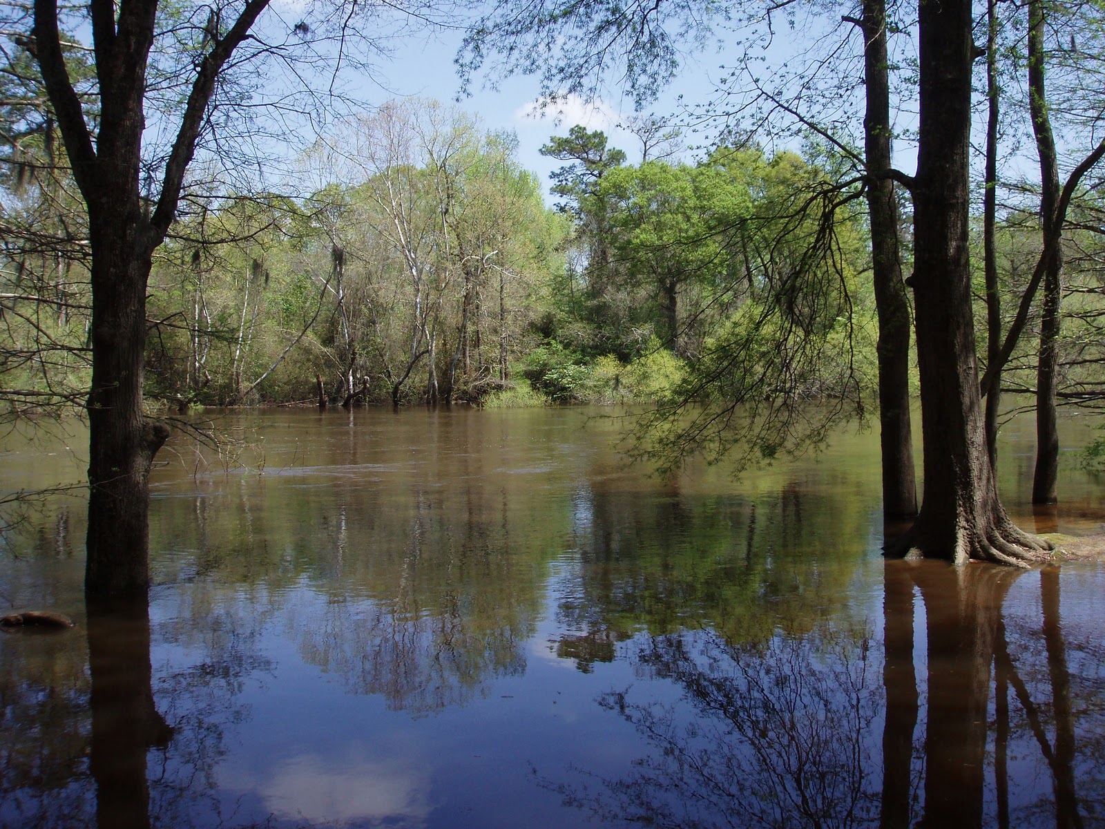 Travel with Kevin and Ruth Roanoke Rapids, North Carolina