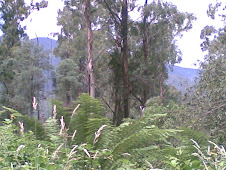 View from Tanjil Bren