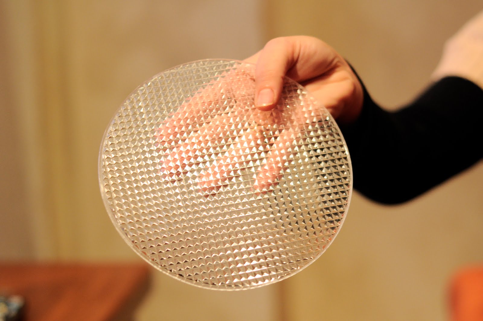 mega%20expodisc.JPG