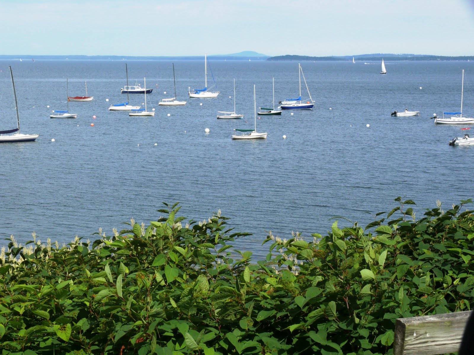 Travels and Discoveries Bayside, Maine