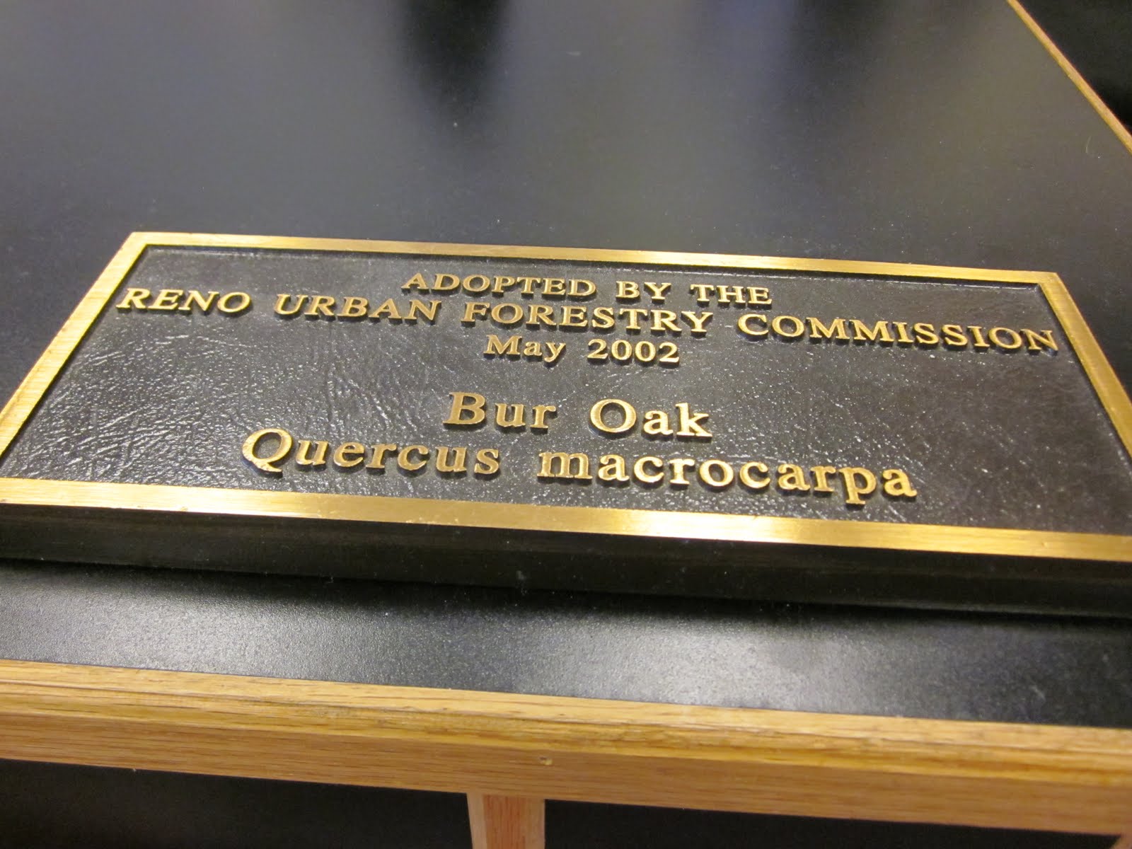 Signs On Time Brass Plaques