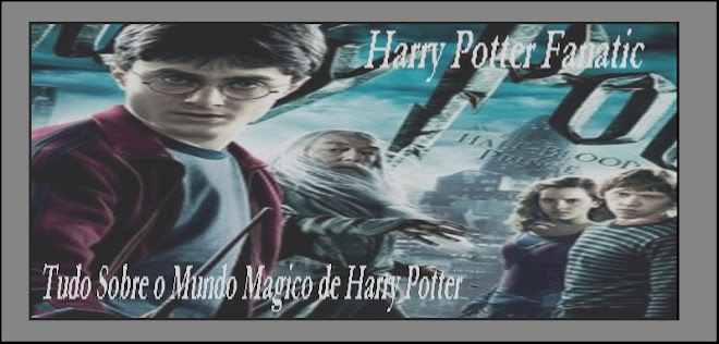 Harry Potter Fanatic
