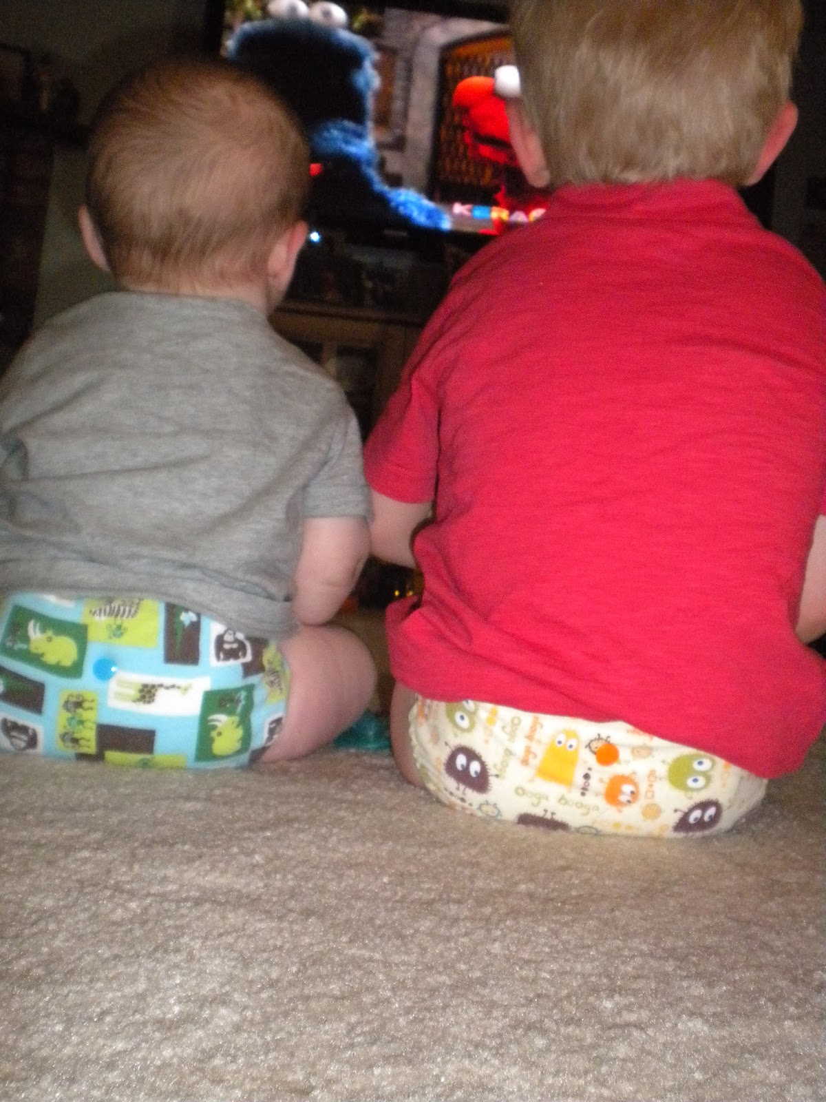 Adventure's of a Crispy Mama What Do You Do With the Poop?