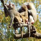 Wonderful creatures!
