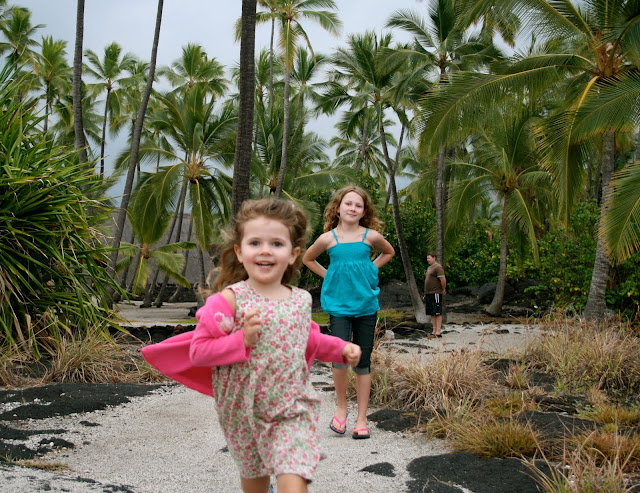 Pu'uhonua o Honaunau (City of Refuge)