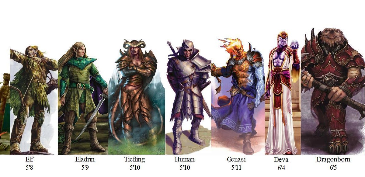 Расы в днд список с картинками