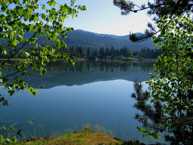 Active Mineral Water