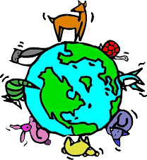 Respeto por la naturaleza