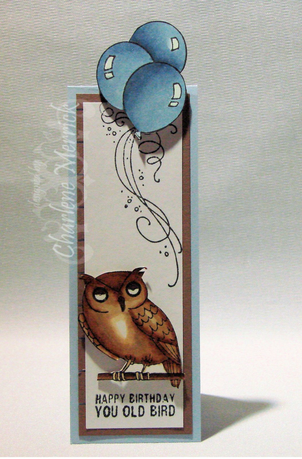 [Scrapling_BD_Owl_CKM.JPG]