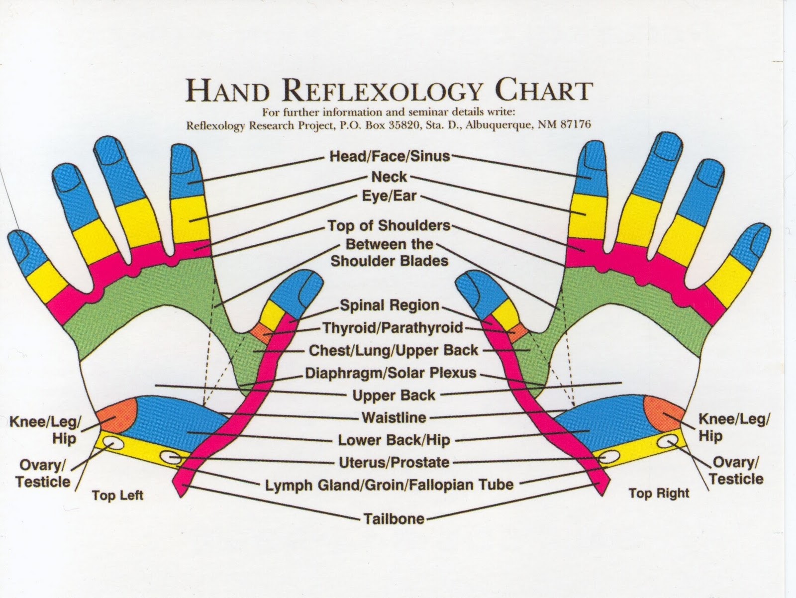 reflexology-products-hand-reflexology-charts-personalized