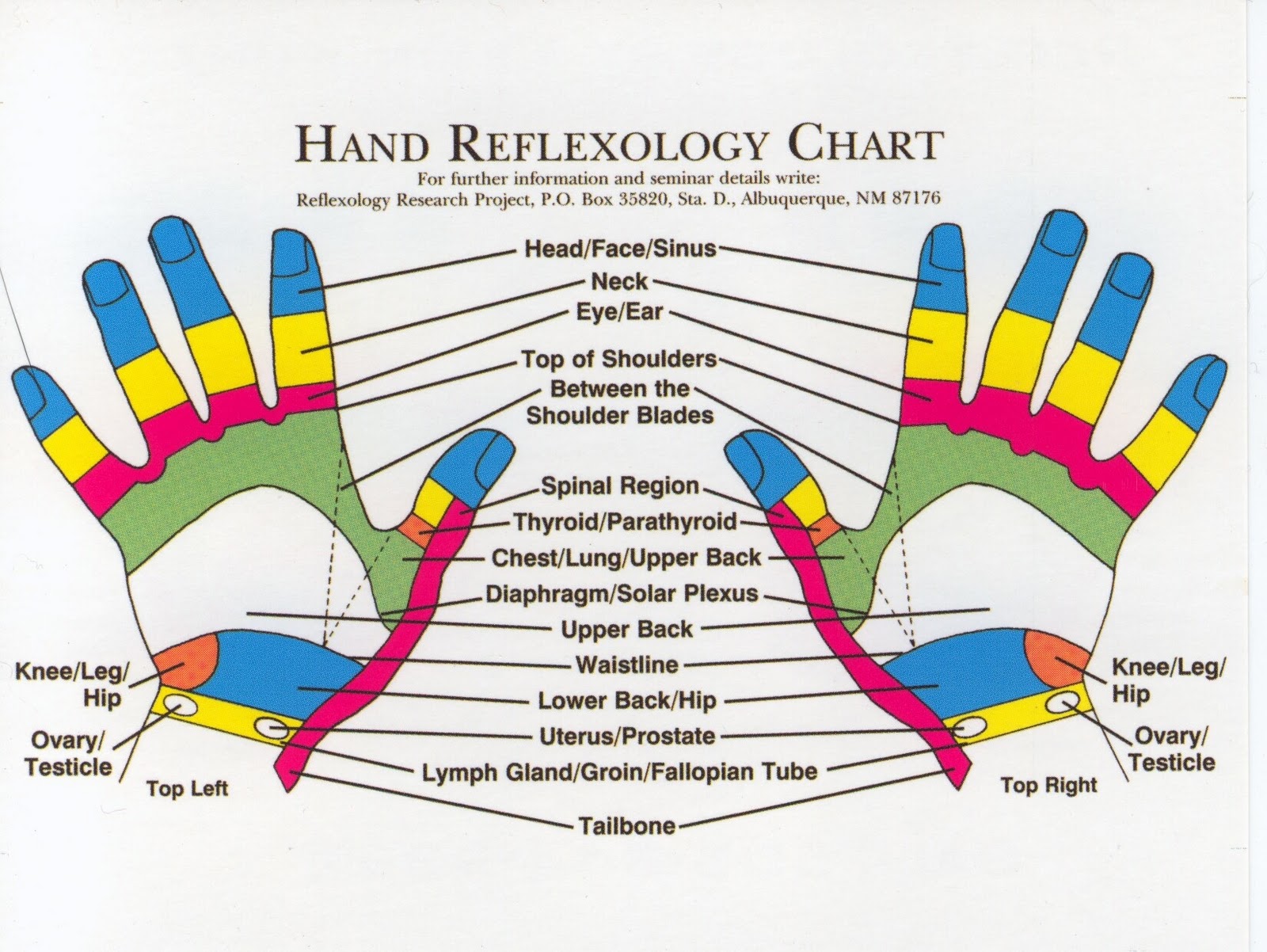 Reflexology Products Hand Reflexology Charts Personalized Reflexology Products Hand Reflexology Charts Personalized