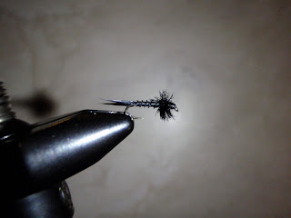 Stoneflies for Fly Fishing