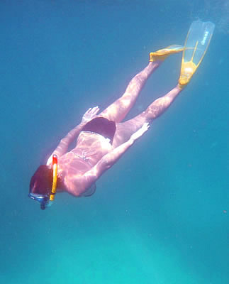 [underwater+calves.jpg]