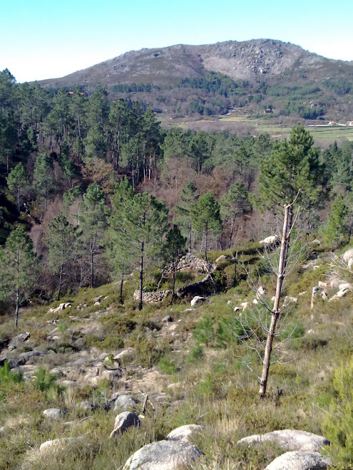 Silha dos Ursos  \ Campo do Gerês