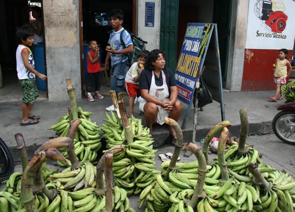 Platanos (Bananas) (Palma Ingles Photo)
