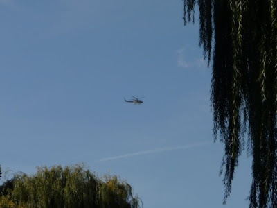 helicopter flying circling park ev grieve followed avenue doesn minutes police look