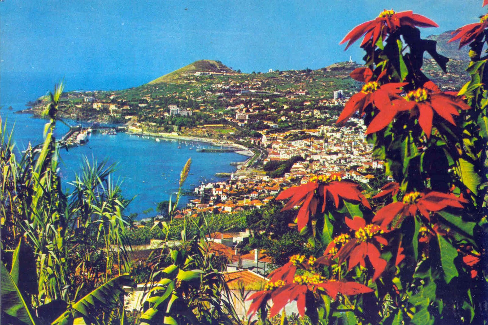 [Funchal+-+Vista+Oeste+(p).jpg]