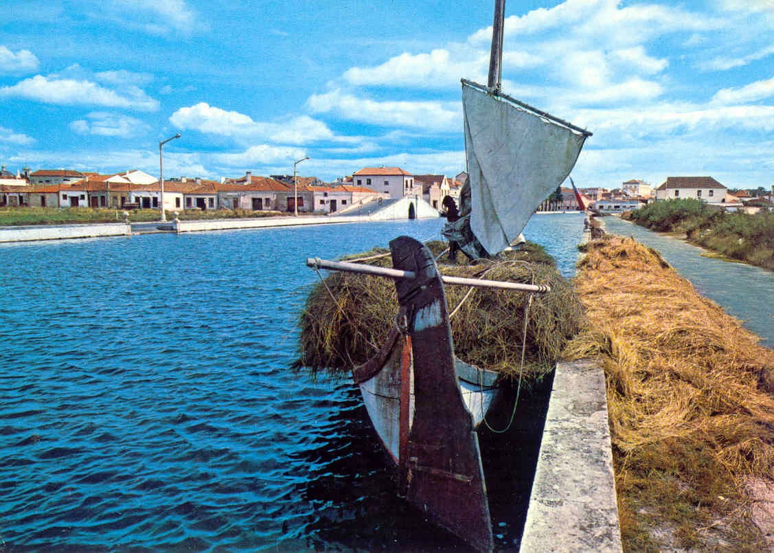 [Aveiro+-+Barco+Moliceiro+(p).jpg]