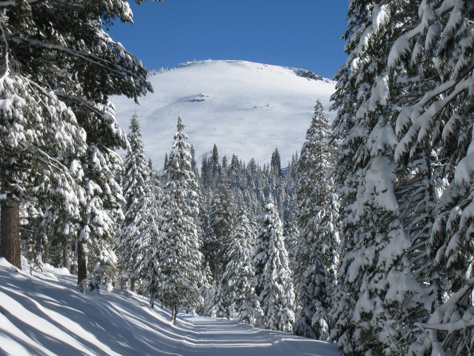 Butte Meadows Hillsliders Snowmobile Club Groomed Trail "A" today