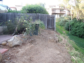 Middle Age BJJ: July 2010