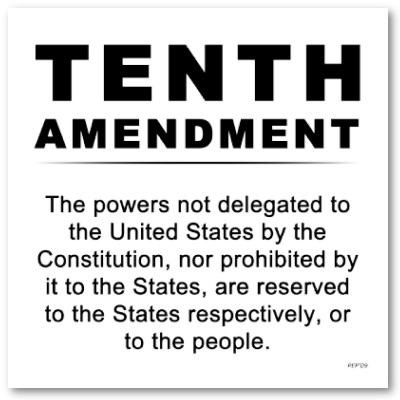 WHAT IS THE PRIMARY PURPOSE OF THE TENTH AMENDMENT IN THE BILL OF RIGHTS visual data 7