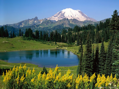 wallpapers of nature for pc