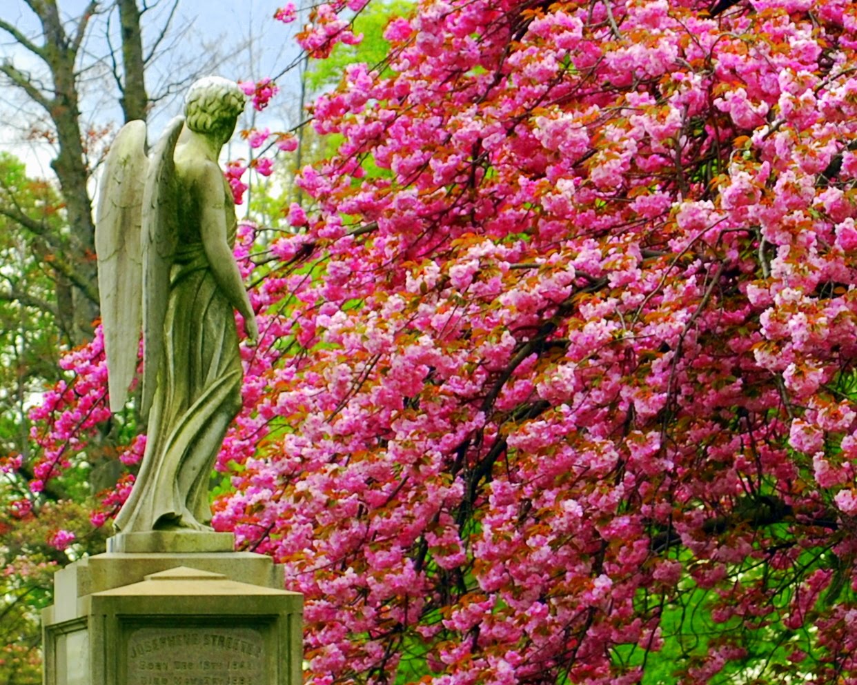 Mille Fiori Favoriti: Pink Saturday - Pink Trees